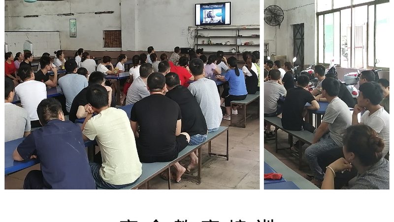 成人高考成绩查询攻略：官网入口及操作步骤详解